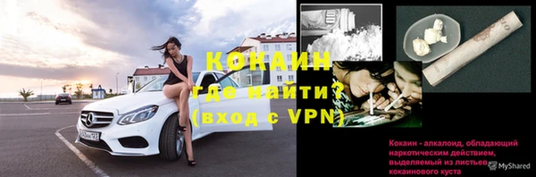 винт Краснослободск