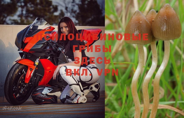 кокаин колумбия Корсаков