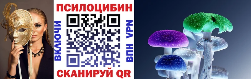 Купить где  Альметьевск  Галлюциногенные грибы прущие грибы 